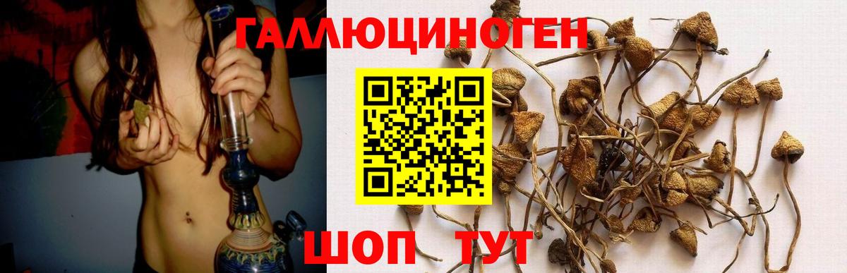Галлюциногенные грибы мицелий  Вход с VPN  Галлюциногенные грибы Psilocybine cubensis  цены наркотик  Белово 